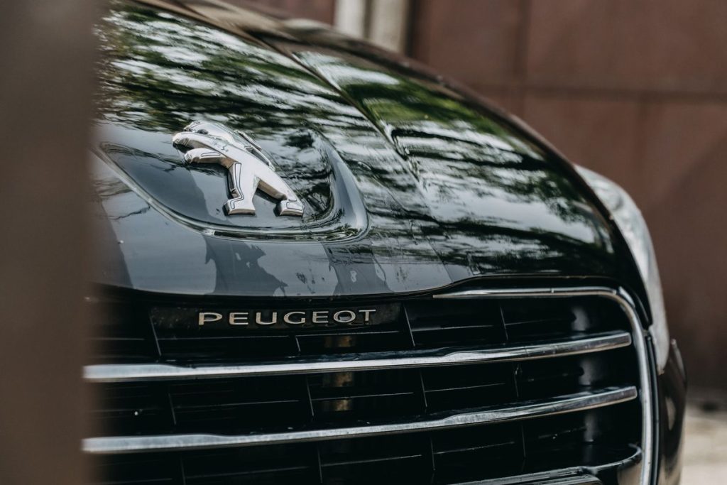 défaut moteur peugeot 3008
