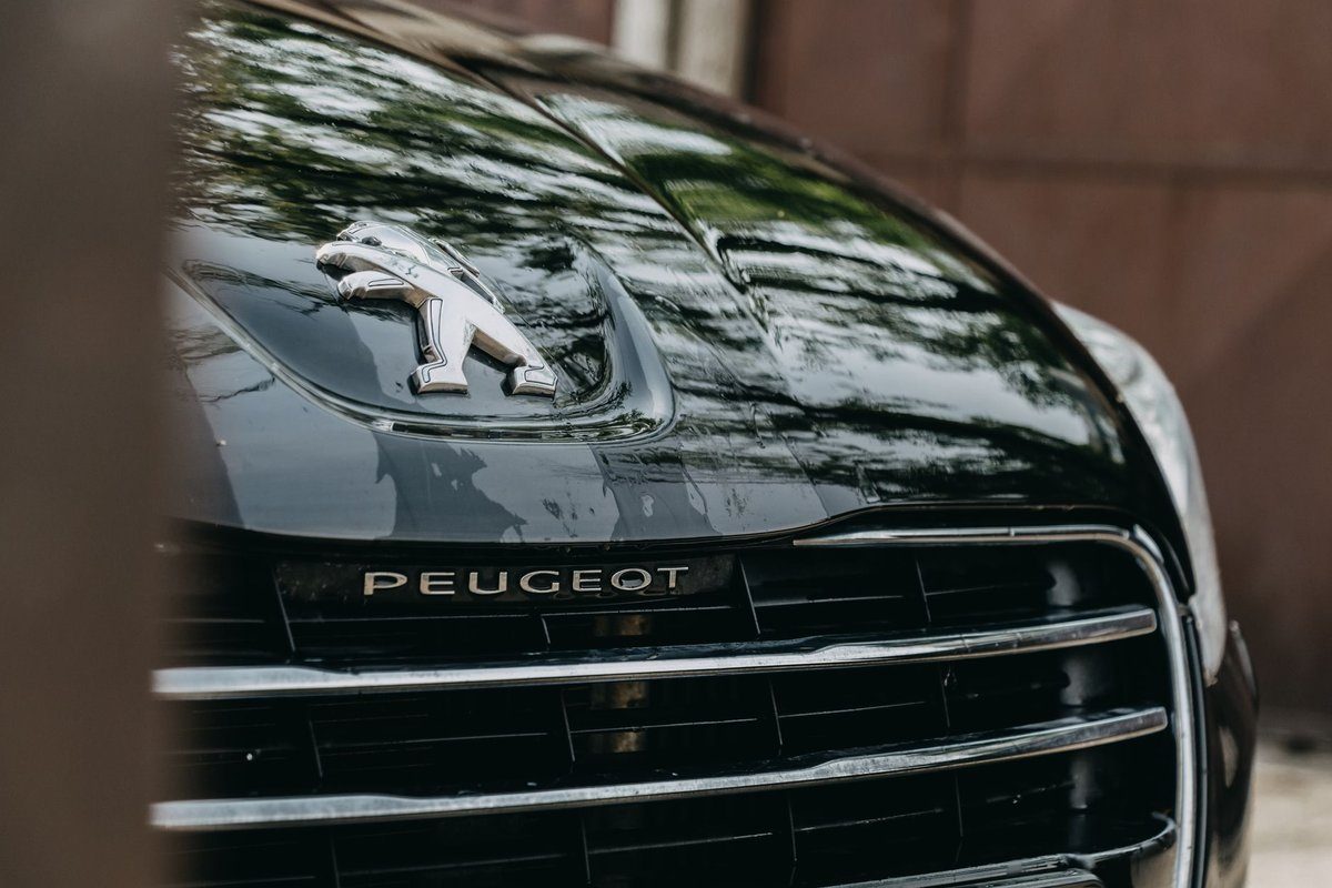 défaut moteur peugeot 3008